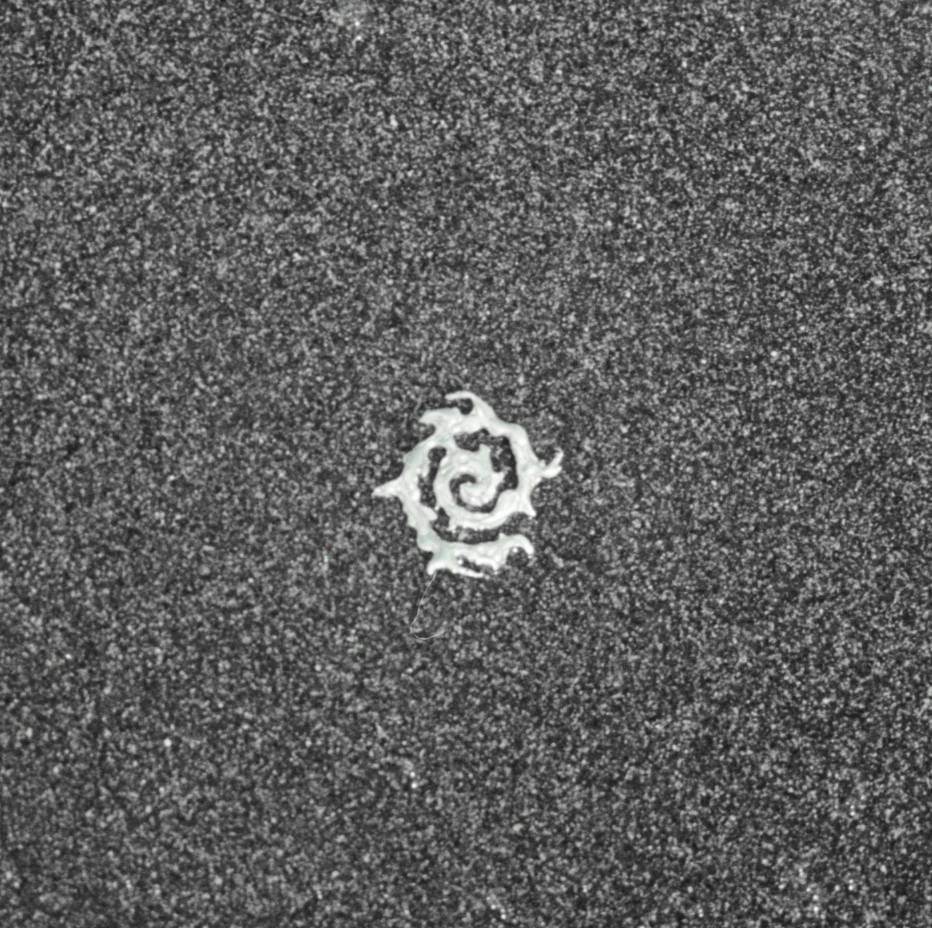 OCEANO
